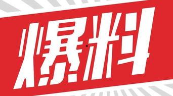 独家爆料官网