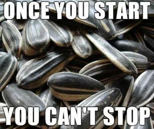 热门大瓜子,零食界的明星产品